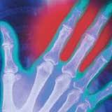 human-biology-web